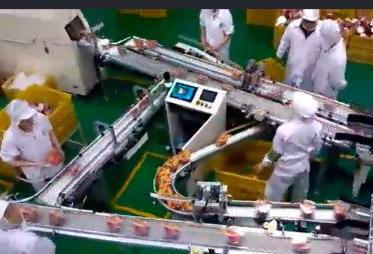 當(dāng)輸送帶出現(xiàn)跑偏后，怎么辦？